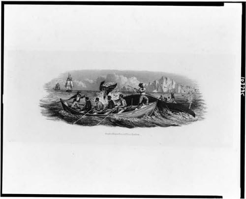 Photographs - Infinite Photographs Photo: Proof,bank note vignette,men harpooning whale,Rawdon,Wright,Hatch,Edson,1852