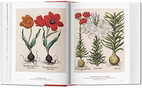 A Garden Eden. Masterpieces of Botanical Illustration. 40th Ed. 2