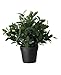 Ikea Artificial Potted Plant, Sage, 9.5 Inch