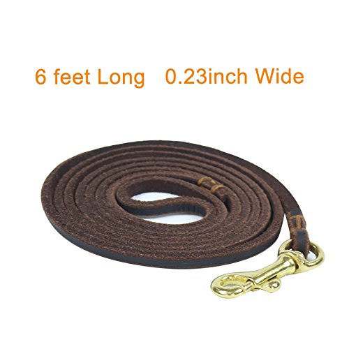 image for HiCaptain 1/4 inch x 6 feet Thin Leather Pet Leash, Durable Dog Leashe