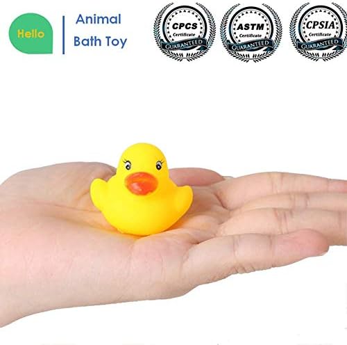 1000 mini rubber ducks