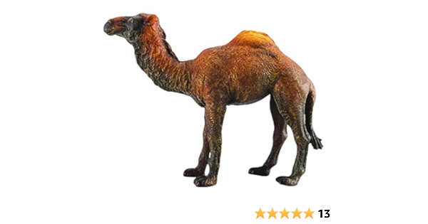 camel toy amazon