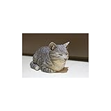 Cat Sleeping - Grey Tabby