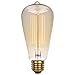Westinghouse 0413200 60 Watt ST20 Amber Timeless Vintage Inspired Bulb with Medium Base