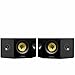 Fluance Signature HiFi 2-Way Bipolar Surround Speakers for Wide Dispersion Surround Sound in Home Theater Systems - Black Ash/Pair (HFBP)