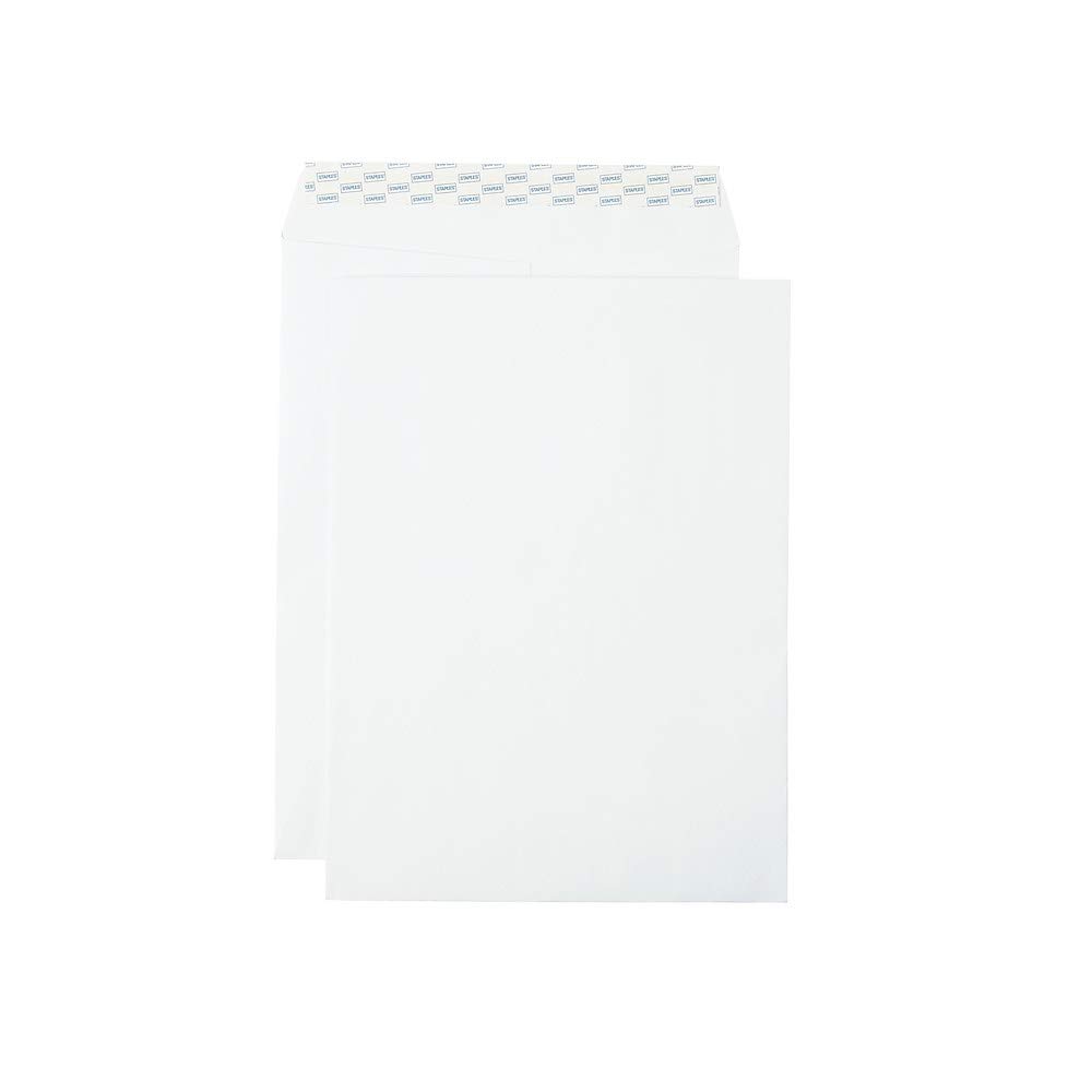 Staples 379479 Easyclose Catalog Envelopes 9"L X 12"H White 100/Box (379479/19026)