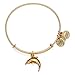 Dolphin Charm Bangle by ALEX AND ANI