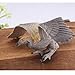 JOKFEICE Birds Figures - 6pcs Realistic ParrotToys Animal Figures Set - Simulated Plastic Animal Models Toys Kids Educational Toys for Boys and Girls