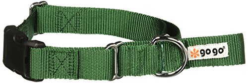 GoGo Pet Products GoGo 1-Inch Martingale Dog Collar, Large, Hunter Green