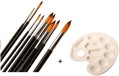 Moolon Paintbrushes with Round Pointed Tip for Acrylic Bulk Professional Watercolor Brushes Set With Palette for Oil Painting Black for Artists Kids 9 PCS