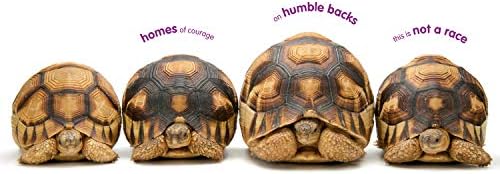 Animal Ark Celebrating Our Wild World In Poetry And Pictures National Geographic Kids Alexander Kwame Hess Mary Rand Nikaido Deanna Sartore Joel 9781426327674 Amazon Com Books