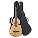Santa Rosa KQ200K Deluxe Puerto Rican 10 String Cuatro Kit(Cuatro Puertorriqueno)