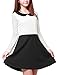 Allegra K Women's Contrast Color Mesh Panel Above Knee Dress L Black