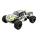ECX AMP MT 1:10 2WD Monster Truck: Black/Green RTR