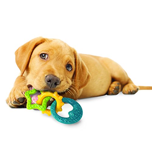 Nylabone Puppy Chew Teething Rings Chew Toy