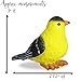 BANBERRY DESIGNS Goldfinch Bird Figurines Hand-Painted - Set of 3 – Includes 3 Poses - Decorative - Polystone - Garden & Home Accents - 3