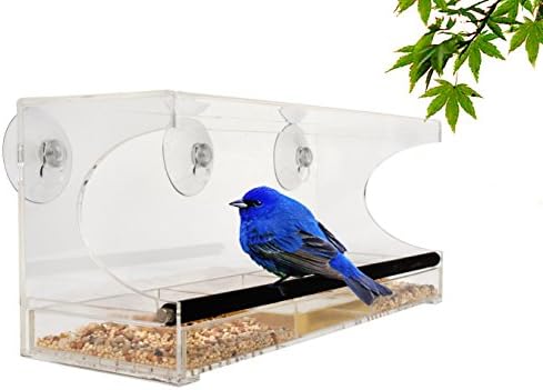 Large Premium Window Bird Feeder, Sliding Drawer Seed/Water Tray With Drain Holes & Rubber Covered METAL Perch. Includes All Weather Suction Cups For Easy Install. LIFE TIME WARRANTY. IN GIFT BOX