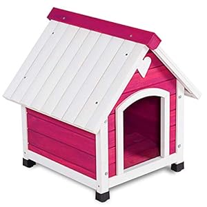 pet squeak arf frame dog house