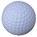 SquareTiger Practice Golf Balls - Plastic, Hollow, White (24 Pack)