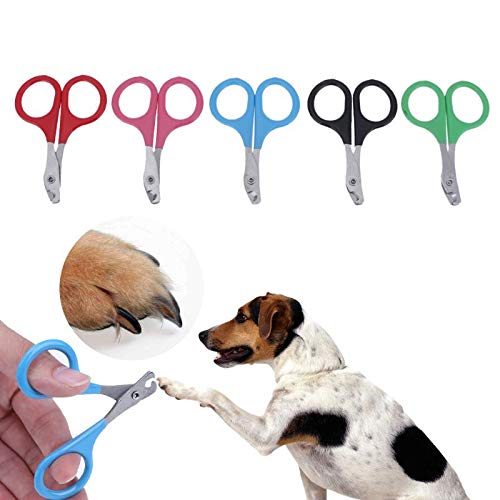 STORE-HOMER - 5pcs/Pack Sharp Blade Pet Nail Scissor Set Stainless Steel Dog Pet Toe Nail Claw Clippers For Pet Trimmers Nail Cutting Tool