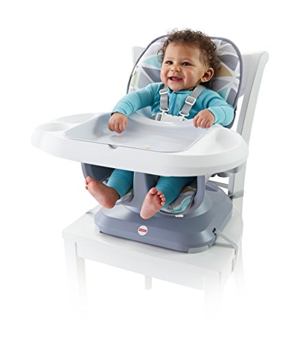 1 Fisher+Price+FFJ02+SpaceSaver+High+Chair