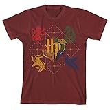 Harry Potter Hogwarts Animals Boys Youth T-shirt Licensed