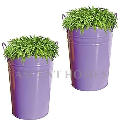 Ascent Homes Round Tall Galvanized Metal Bucket Planter with Handles (Purple)- Set of 2