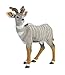Wild Safari Lesser Kudu
