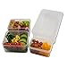 EcoNaturel Bento Lunch Box Kids & Adults; Leakproof Meal Prep Container with 3 Removable Perfect Size Compartments Plus Snack/Soup Container; BPA Free Reusable Portion Control; Food storage Container
