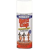 Masterchem Industries 42260 Smooth Spray Paint, White