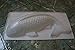 Plastic Mold Extra Large Fish Koi Plastic Mold steam desserts jello desserts craft projects