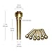 Metal Acoustic Guitar Bridge Pins 6pcs Brass Guitar Strings Fixed Cone String Pins String Nails by Blisstime