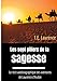 Les sept piliers de la sagesse (French Edition) by