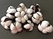 10 Pieces of Natural and Synthetic Blend Cotton bolls (Balls) for Wreaths, Decor, Off Stick Branches Wired raw Look White Cotton Branch Picks