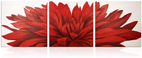 Caroyla Oil Painting Red Flower Home Decor no Framed Hand-painted Canvas Painting 3 pcs