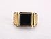CARTER PAUL Men's Stainless Steel Black Onyx Gold Ring Europe and America Style, Size 14