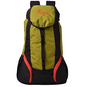 F Gear Trekker 34 Liters (Black, Green) Rucksack