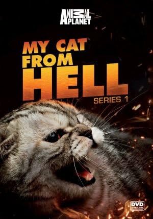 my cat from hell book