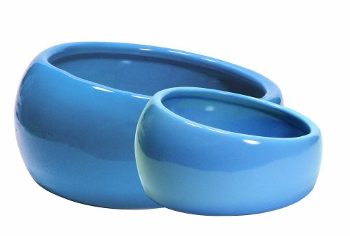Living World Ergonomic Dish, Blue, Small