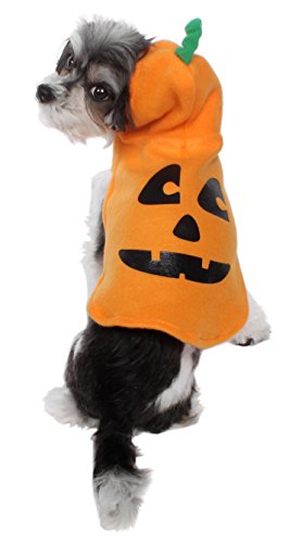 AKC-American Kennel Club Halloween Hooded Pumpkin Jack-O-Lantern Pet Costume