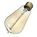 Vintage Light Bulb, Elfeland Antique Incandescent Edison Bulb 60w Squirrel Cage Filament Retro Light Bulb ST58 Dimmable E26/E27 Medium Base (2 Pack)