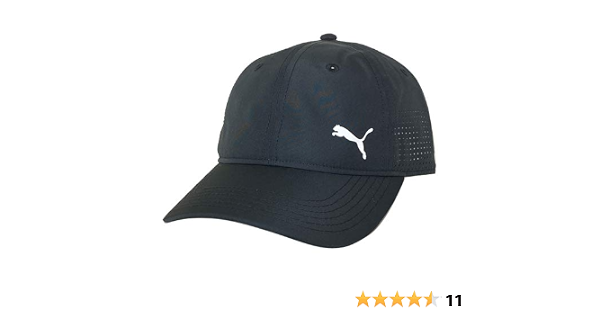 PUMA Men's Standard Evercat Stream 