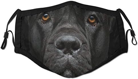PENGTU Face Cowl Closeup Portrait of Lovely Black Cane Corso Feminine Canine Balaclava Unisex Reusable Windproof Anti-Mud Mouth Bandanas Outside Tenting Bike Working Neck Gaiter with 2 Filters