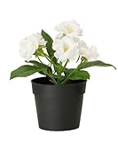 Ikea Fejka Artificial Potted Plant Small White Rose Plant 7