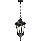 Maxim Sentry-One Light Outdoor Hanging Lantern-9 Inches Wide by 19.75 inches high