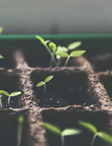 Gardening Log Book: Plant Growing And Layout Detail Record Book by Michael Patrick Mullady