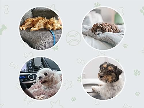 COCOYO Dog Training Pads丨Carbon Absorb Eliminating Urine Odor