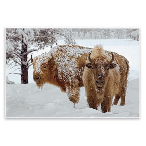 Stupell Industries Winter White Bison Wall Plaque Art design by Mike Jones, 13…