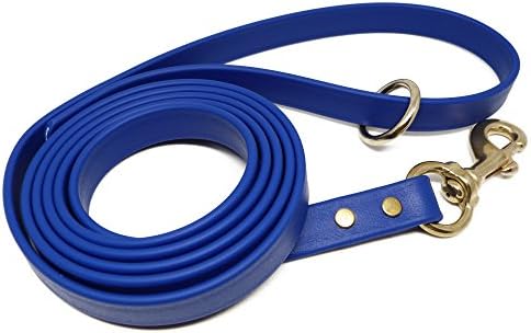 Gummy Dog Leash, Biothane, Dog Training Leash, Waterproof, Weatherproof, 6 Foot Length for Small, Medium & Large Dogs or Puppies, Various Sizes & Colors