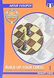 Build Up Your Chess 1: The Fundamentals